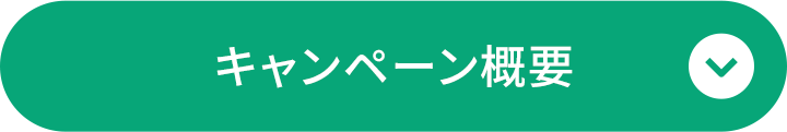 キャンペーン概要