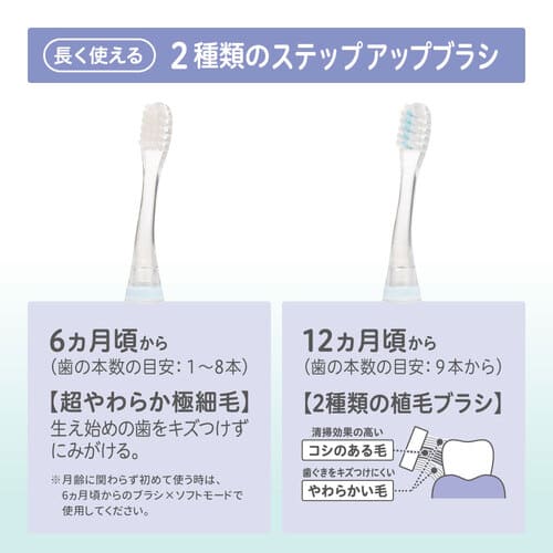 電動歯ブラシ（グリーン）＋替えブラシ（12ヵ月用）セット