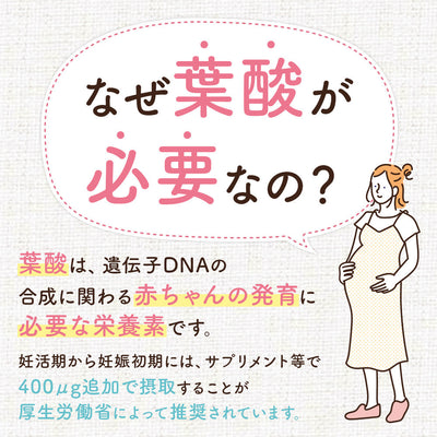 葉酸カルシウムプラス　1か月分（60粒）