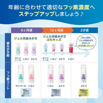 おやすみ前のフッ素コート 950ppm さわやかぶどう味