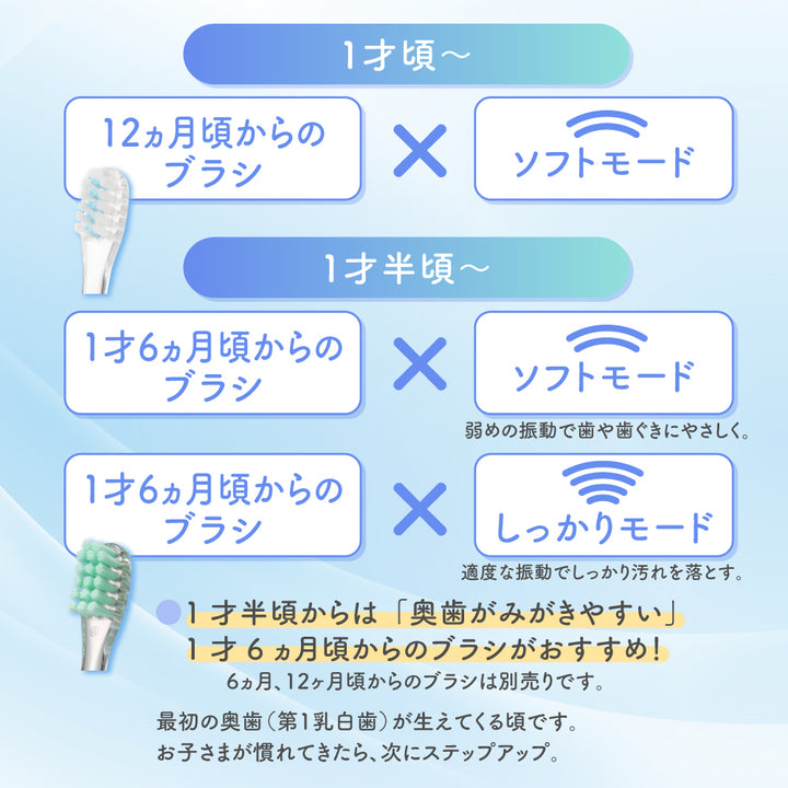 仕上げ専用 電動歯ブラシ 替えブラシ（1才6ヵ月頃～）│ピジョン公式