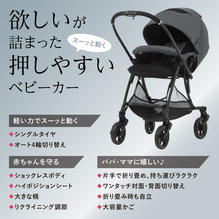 フェリーチェプルーン Amazon.co.jp: リチャードジノリ フェリーチェプルーン