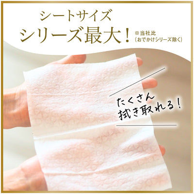 【50枚×18個】はじめてのおしりナップ プレミアム極上厚手