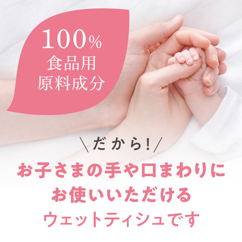 【70枚×48個入】手・くちふきとりナップ Pigeon Friends
