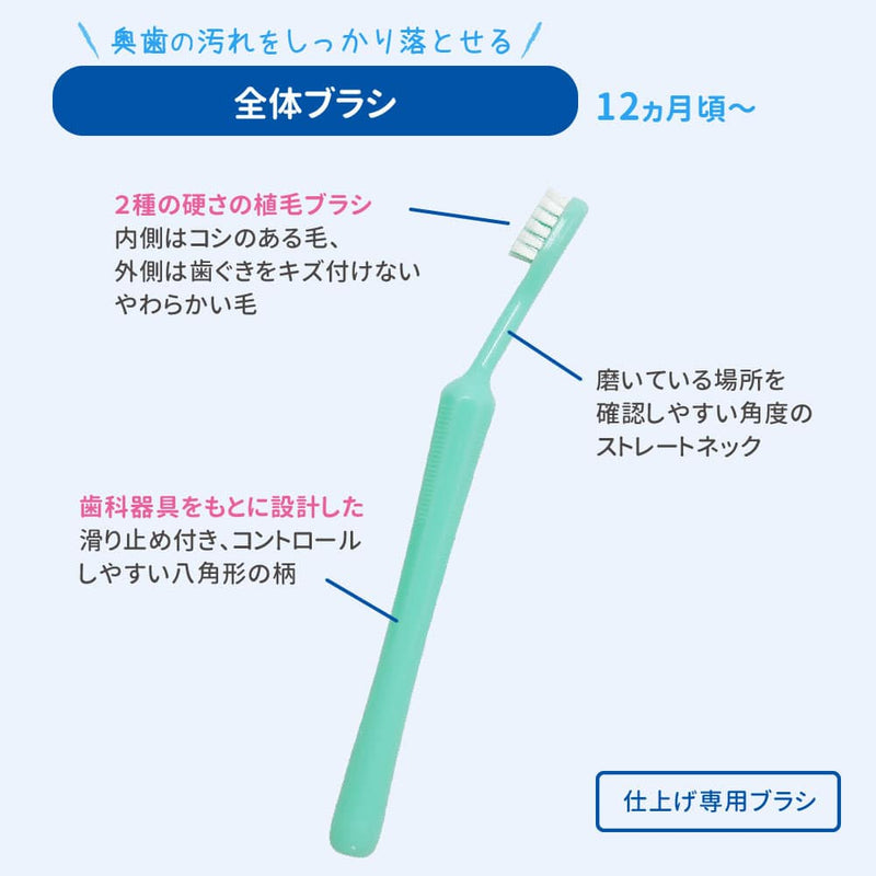 【6本入】仕上げ専用全体みがき