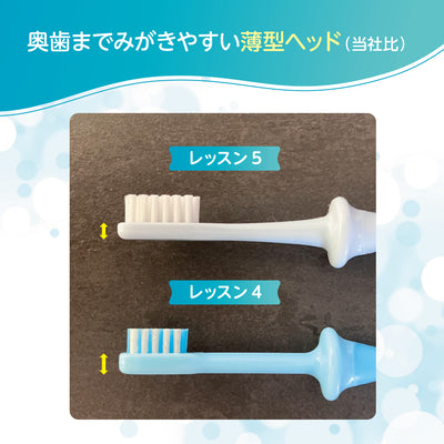 【5本】乳歯ブラシ レッスン段階５