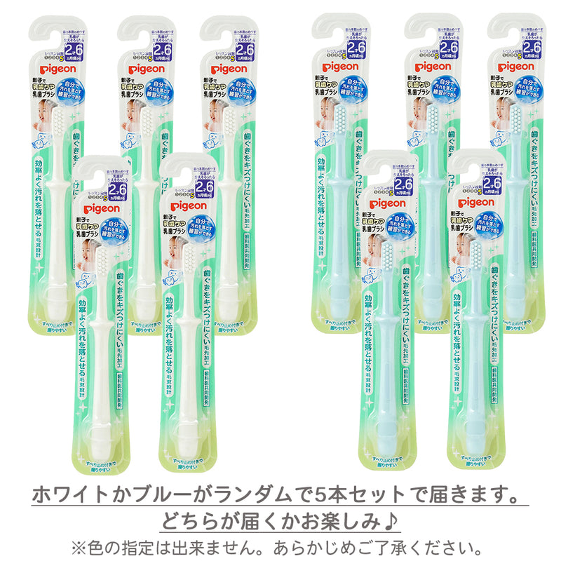 【5本】乳歯ブラシ レッスン段階５