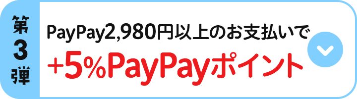 第3弾 PayPay2,980円以上のお支払いで＋5％PayPayポイント