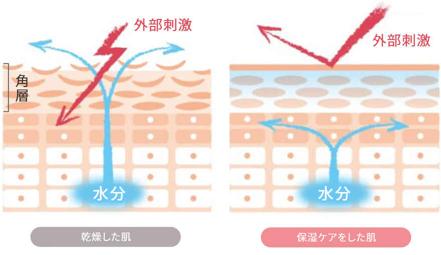 乾燥した肌と保湿ケアをした肌の比較